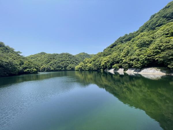 Image (2).jpg