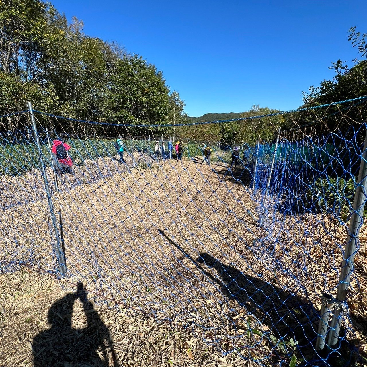 LINE_ALBUM_24.10.5-6_241013_171.jpg